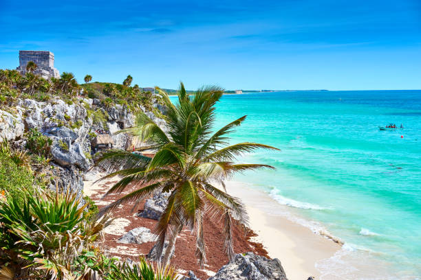 istock Ruins of Tulum 816820096