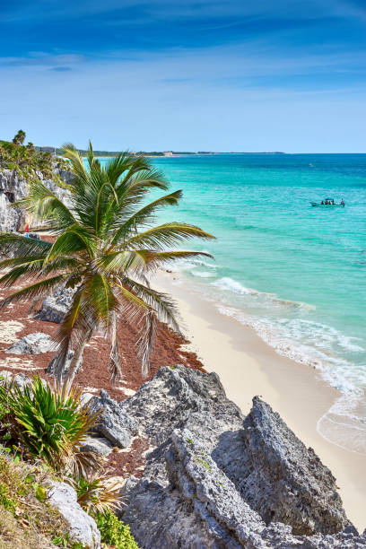 istock Ruins of Tulum 816820098
