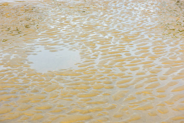 istock View of a sand sea bottom 816822728