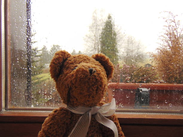 istock teddy bear in front of window with raindrops 816822866