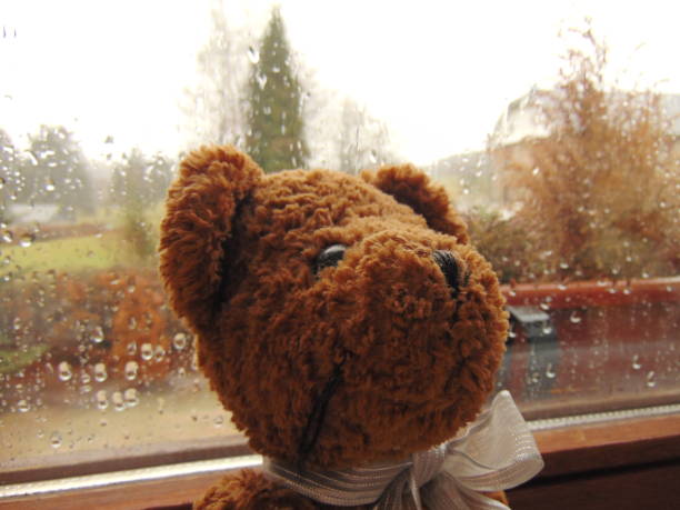 istock teddy bear in front of window with raindrops 816822918