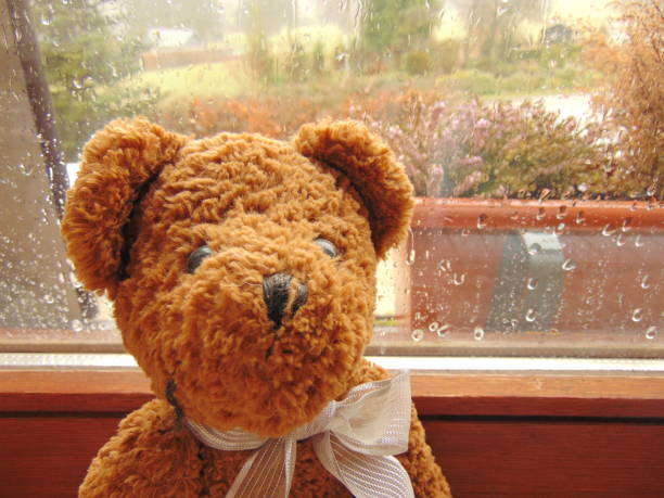 istock teddy bear in front of window with raindrops 816825474