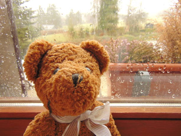 istock teddy bear in front of window with raindrops 816825544