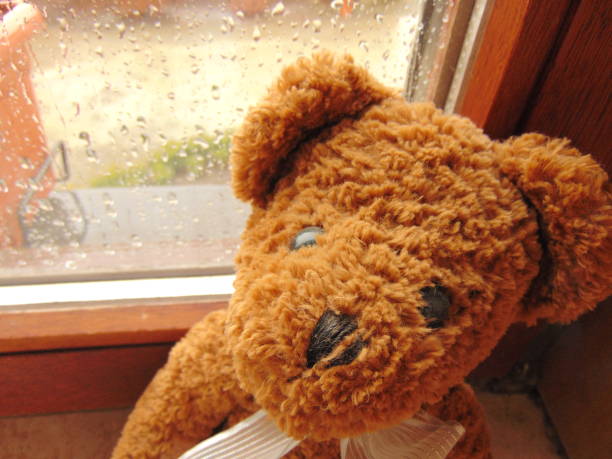 istock teddy bear in front of window with raindrops 816827226