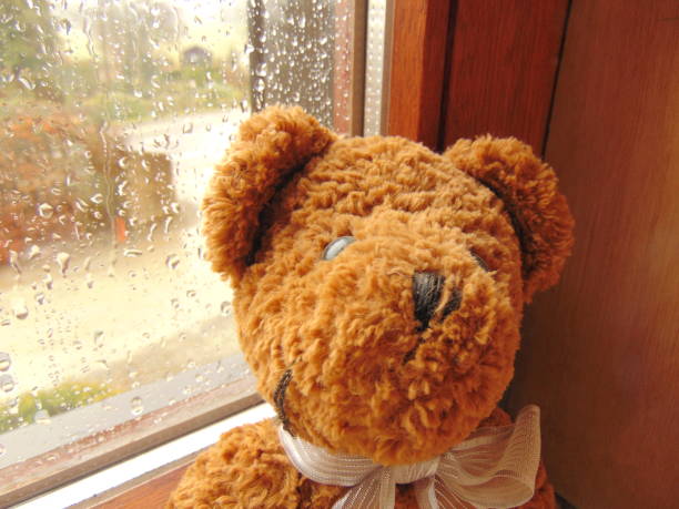 istock teddy bear in front of window with raindrops 816827232