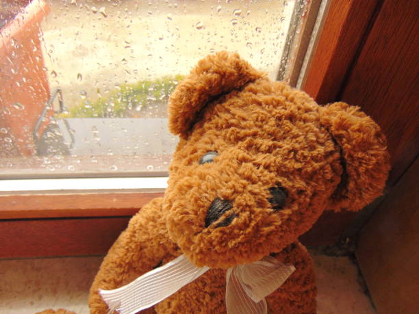 istock teddy bear in front of window with raindrops 816827236