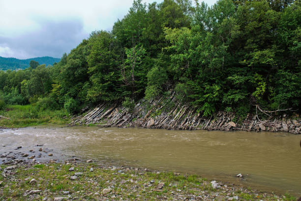 Prut 710+ Prut River Stock Photos, Pictures & Royalty-Free Images - iStock