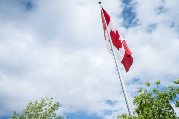 istock Canadian Flag Against sky 816833346