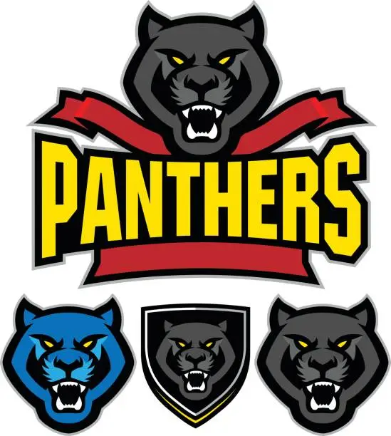 Vector illustration of Panther Sports Kit