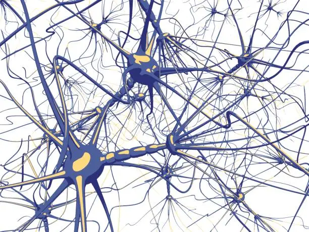 Vector illustration of Neurons cells