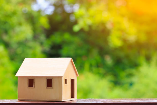 istock Wooden Home model on green nature background 816846670