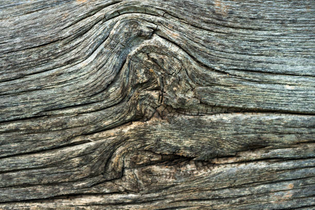 textura de fundo natural escura madeira. - knotted wood brown wood material - fotografias e filmes do acervo