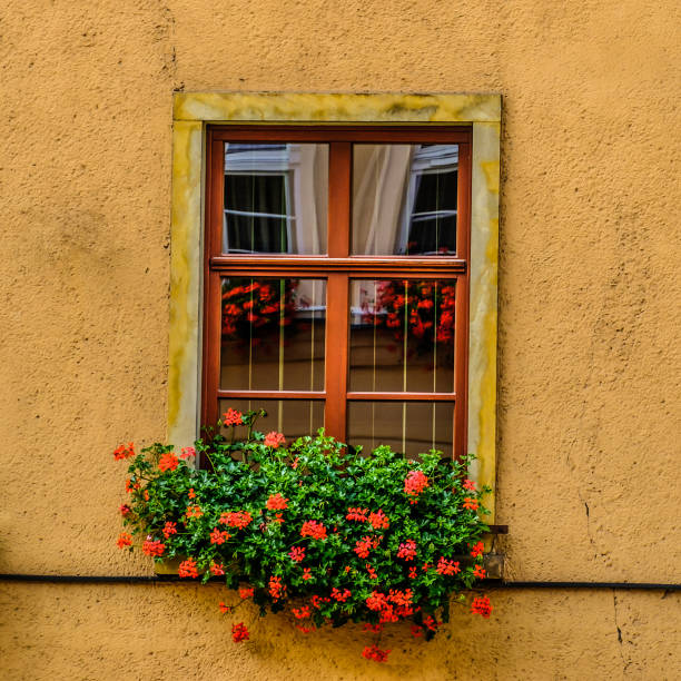 istock Window in Jelenia Gora 816849562