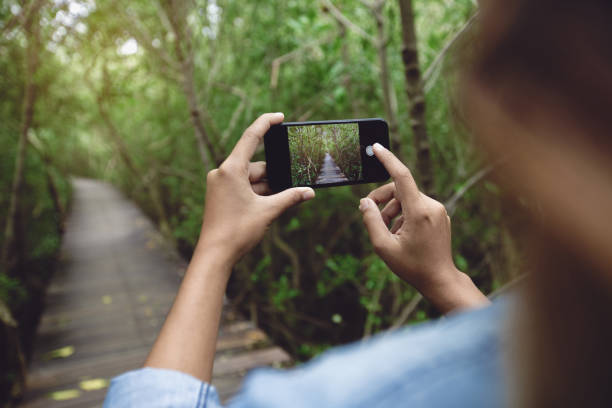 istock woman use phone taking nature photo 816853408