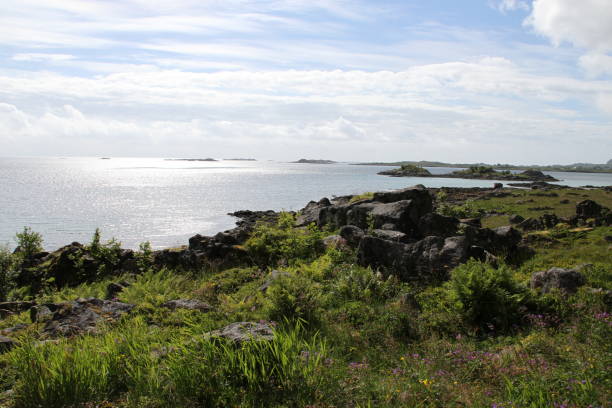 istock Lofoten peninsula, Norway 816861234