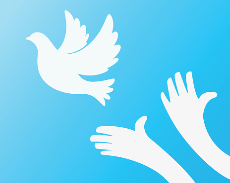 Close up of hand Freeing the white bird on sky blue background