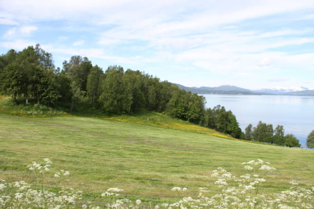 istock Islands of Kvaloya and Senja, Norway 816863740