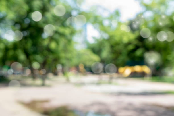 istock blur natural and light background in the park. 816868624