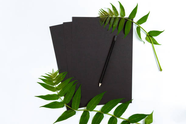 istock Natural composition with sketchbook and pencils on white table, decorated with green branches. Flat lay, top view, view from above 816868970