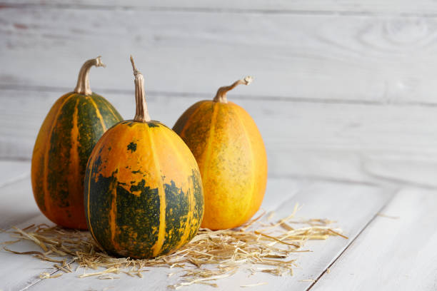 istock Orange halloween pumpkins on white planks 816869016
