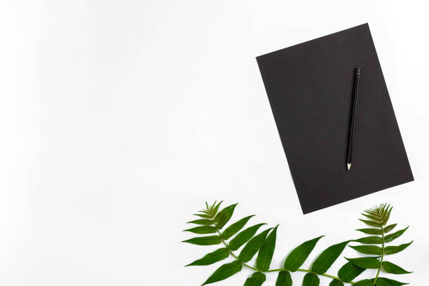 istock Natural composition with sketchbook and pencils on white table, decorated with green branches. Flat lay, top view, view from above 816871468