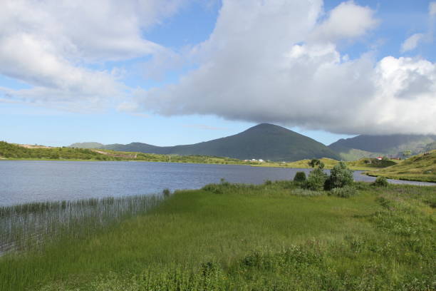 istock Lofoten peninsula, Norway 816872354