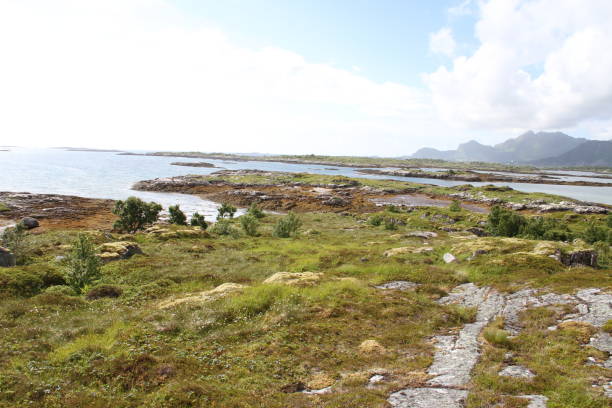 istock Lofoten peninsula, Norway 816898640