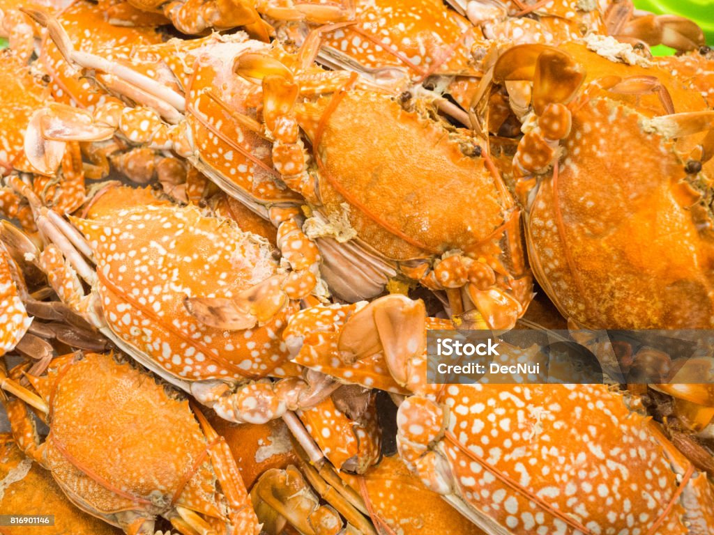 Orange yellow crab boil, seafood Animal Stock Photo