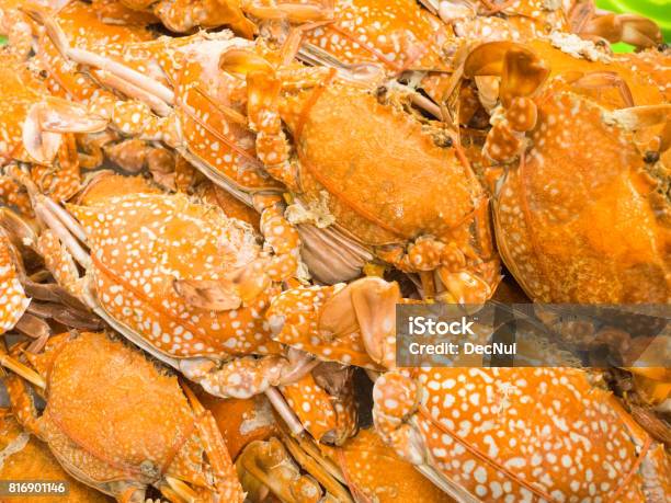 Orange Yellow Crab Boil Seafood Stock Photo - Download Image Now - Animal, Backgrounds, Bay of Water