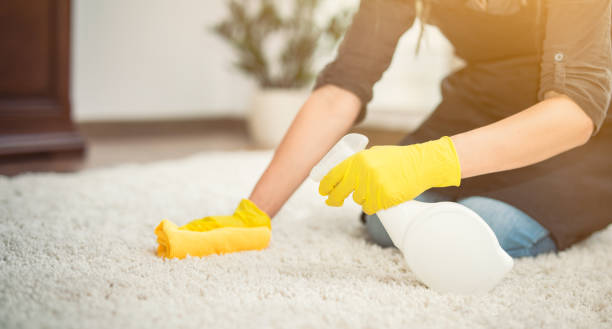 istock Housewife cleaning carpet. 816906782