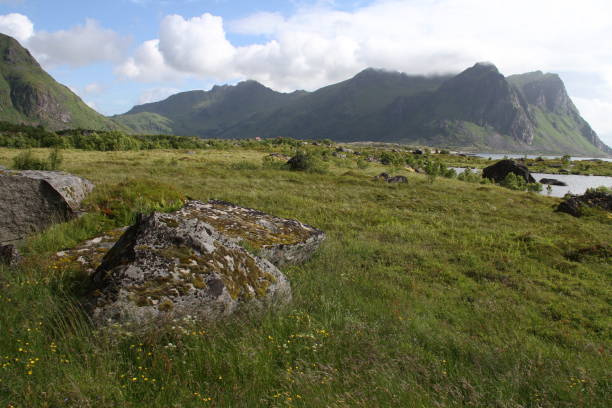 istock Lofoten peninsula, Norway 816906848