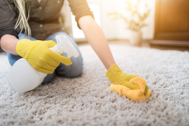 istock Housewife cleaning carpet. 816906966