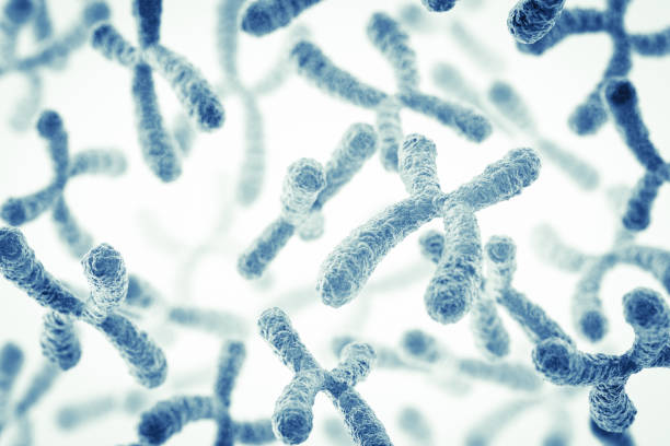chromosom  - chromosome stock-fotos und bilder