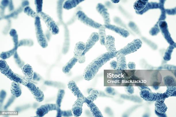 Chromosome Stock Photo - Download Image Now - Chromosome, DNA, Genetic Research