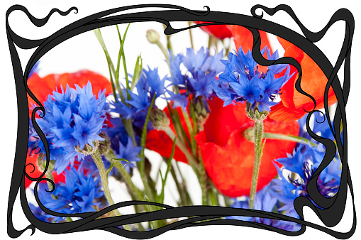 poppies and cornflowers in art nouveau frame