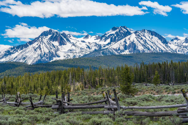 Sawtooth Mountains and wildflowers from Basin Butte Road near Stanley, Idaho
