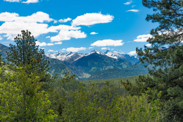 istock Ponderosa Pines Scenic Byway, Idaho 816915432