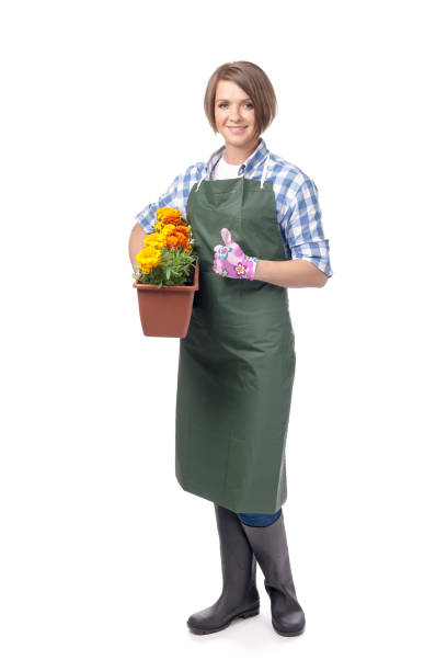 istock woman professional gardener isolated on white background 816918102