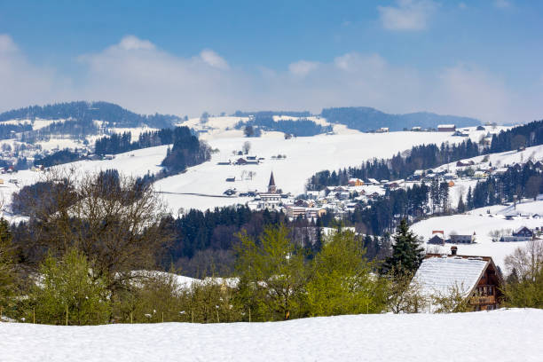 istock Snow in the mountains, but springtime is coming 816918878