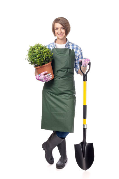 istock woman professional gardener isolated on white background 816919246