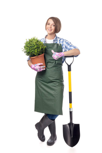 istock woman professional gardener isolated on white background 816923692