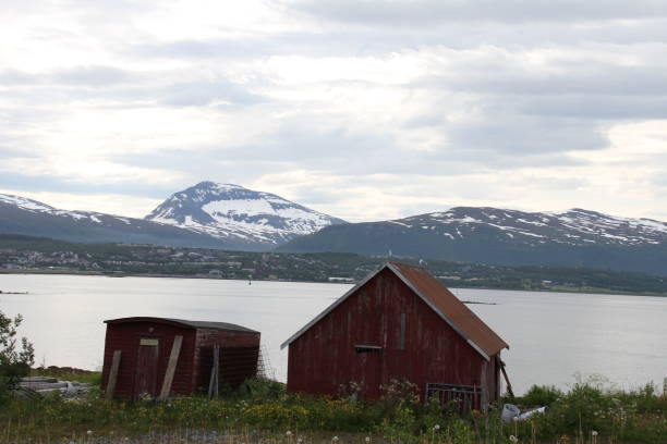 istock Islands of Kvaloya and Senja, Norway 816927404