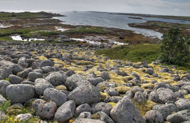 istock Lofoten peninsula, Norway 816936844