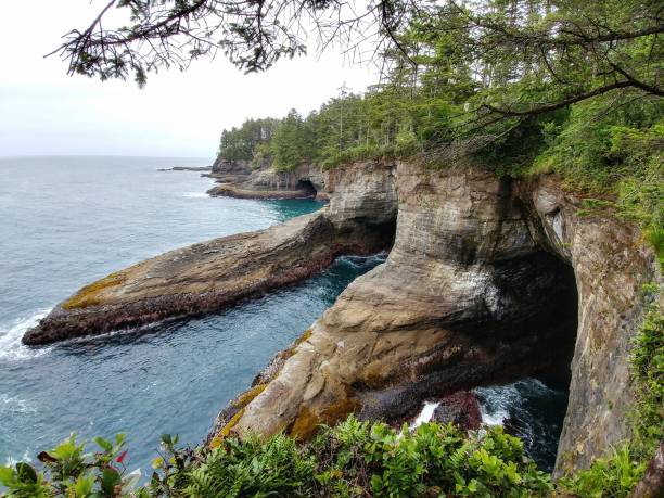 istock Cape Flattery, Pacific Northwest, Washington, Olympic National Park 816944726