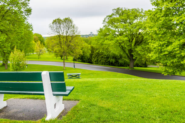 Empty bench in green plaines d'Abraham in morning during summer with road in Quebec City