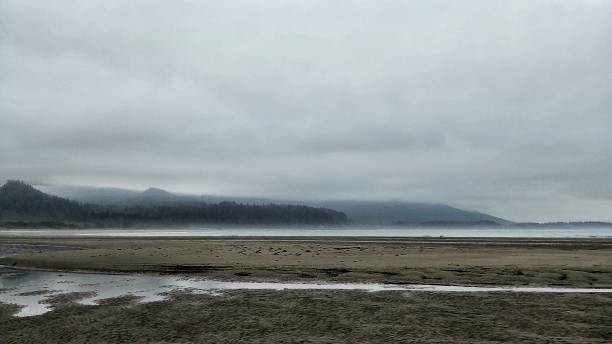 istock Neah Bay Beach, Makah Tribe, Washington, Ripples, Mountains, Tide Pools 816949182