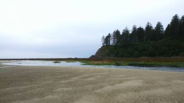 istock Neah Bay Beach, Makah Tribe, Washington, Mountains Landscape 816949316