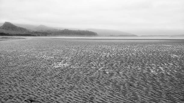 istock Neah Bay Beach, Makah Tribe, Washington, Sand Ripples, Mountains, 816949336