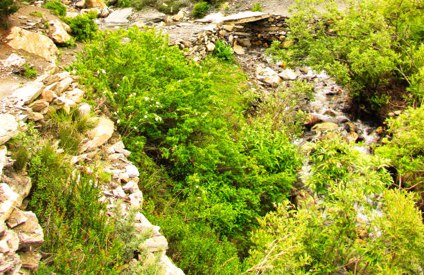 istock treking around Annapurna circuit 816949506