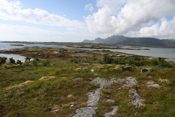 istock Lofoten peninsula, Norway 816963616